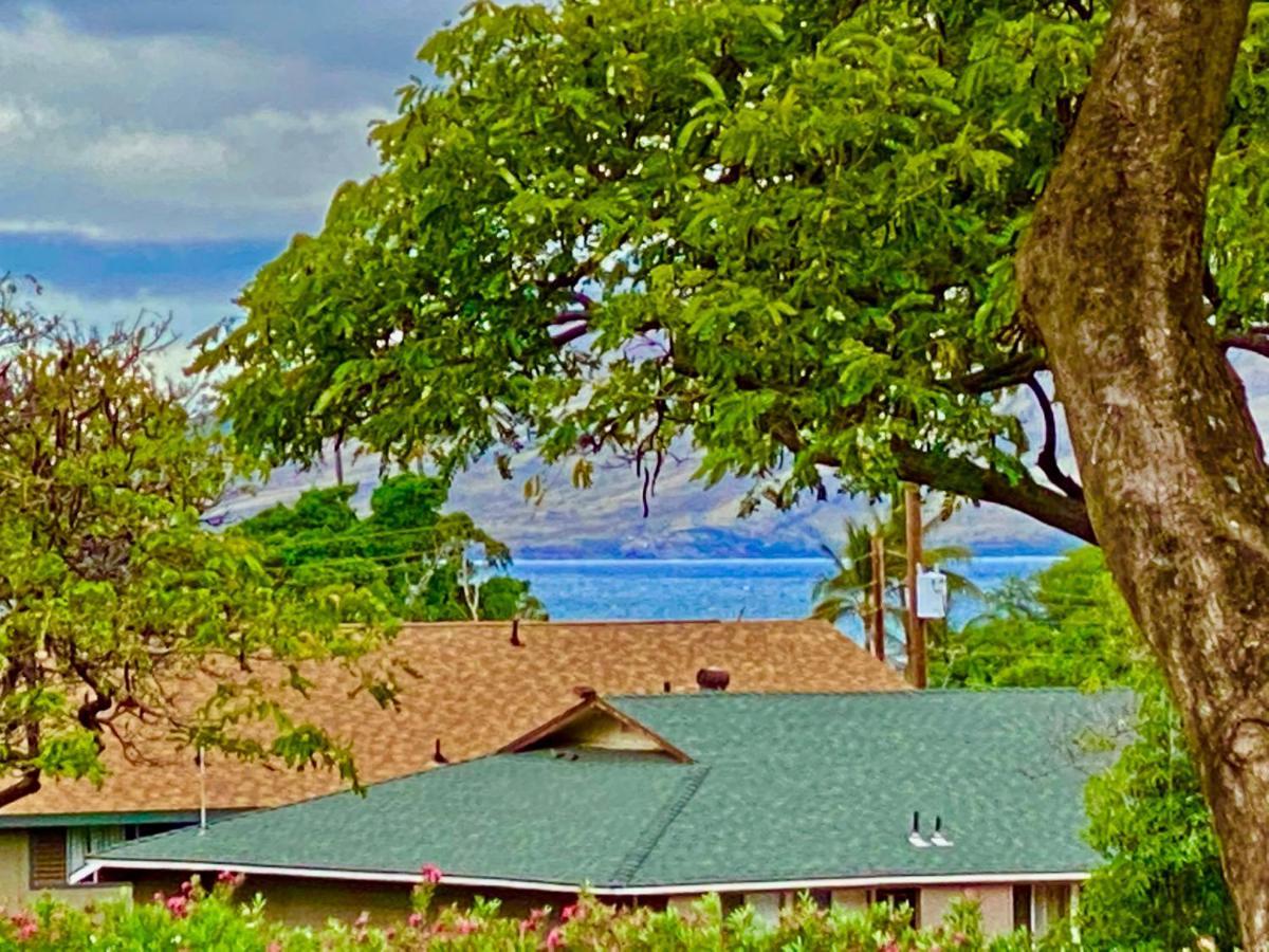 Maui-Licious By The Beach Kihei Exteriér fotografie